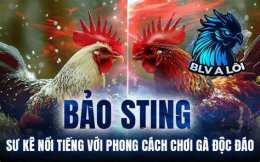 hướng dẫn sử dụng clip đá gà bảo sting
