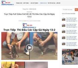 hướng dẫn sử dụng clip đá gà thomo