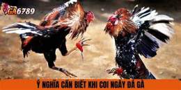 hướng dẫn sử dụng coi ngay da ga