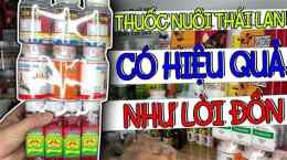 hướng dẫn sử dụng combo thuốc nuôi gà đá