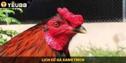 hướng dẫn sử dụng con gà xanh trích đá