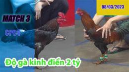 hướng dẫn sử dụng congaden đá gà trực tiếp thomo cpc3 cpc4 cpc5