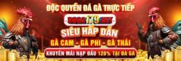 hướng dẫn sử dụng đá gà 179 trực tiếp