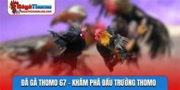 hướng dẫn sử dụng đá gà 67 thomo hôm nay