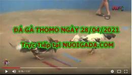 hướng dẫn sử dụng đá gà 67.com trực tiếp
