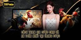 hướng dẫn sử dụng đá gà 789win