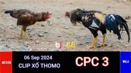 hướng dẫn sử dụng đá gà 88 trực tiếp thomo
