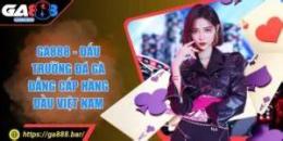 hướng dẫn sử dụng đá ga 888