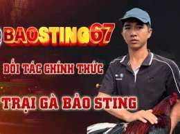 hướng dẫn sử dụng da ga bảo sting