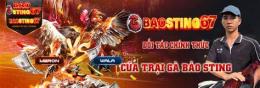 hướng dẫn sử dụng đa ga baosting