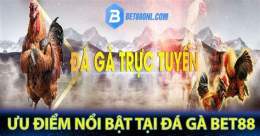 hướng dẫn sử dụng đá gà bet88