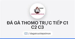 hướng dẫn sử dụng đá gà c3 thomo