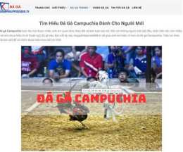 hướng dẫn sử dụng đá gà campuchia thomo