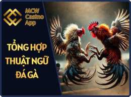 hướng dẫn sử dụng đá gà casino mcw