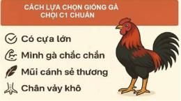 hướng dẫn sử dụng da ga choi c1