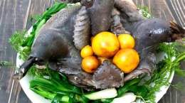 hướng dẫn sử dụng đã gà con gà đen chăm com
