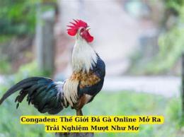 hướng dẫn sử dụng da ga congaden.com