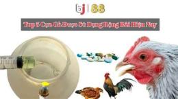 hướng dẫn sử dụng đá gà cpc3 27 5