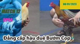 hướng dẫn sử dụng đá gà cpc4 ngày 12 6