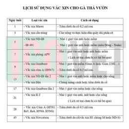 lịch tiêm vacxin cho gà đá