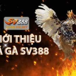 link đá gà sv388