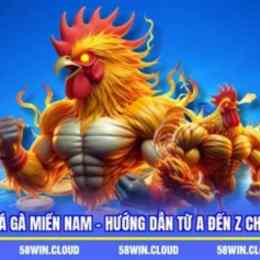 luật đá gà miền nam