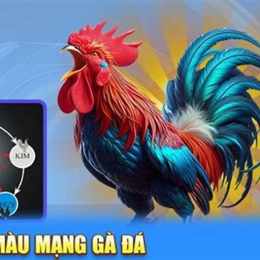 màu mạng gà đá theo ngũ hành