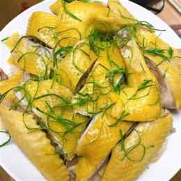 màu vàng gà con có kén da không