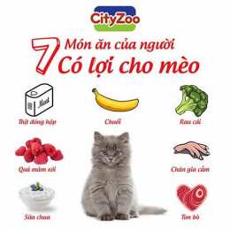 mèo ăn da gà được không
