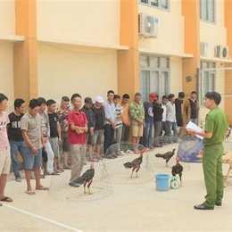 mơ thấy công an bắt đá gà