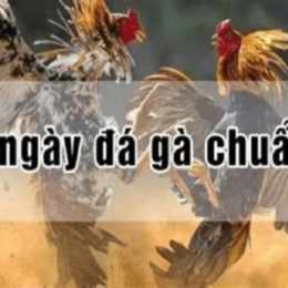 ngày giờ đá gà