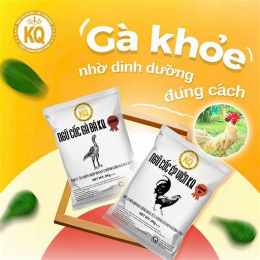 ngũ cốc gà đá