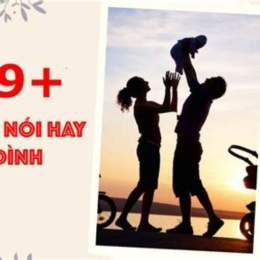 những câu nói về gà đá