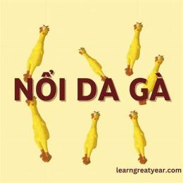 nổi da gà tiếng trung là gì