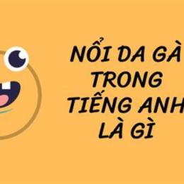 nổi da gà trong tiếng anh