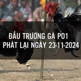 phát lại đá gà hôm nay