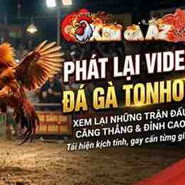 phát lại đá gà tonhon hôm nay