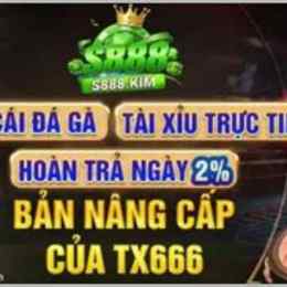 s888 đá gà