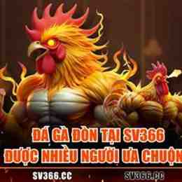 sv366 đá gà trực tiếp