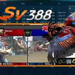sv388 com link da ga truc tiep