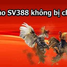 sv388 link đá gà sv388 com không bị chặn mới nhất