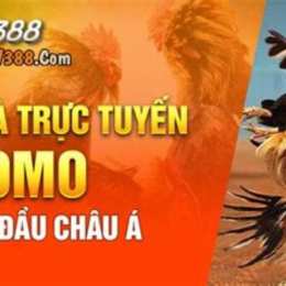 sv388 link đá gà thomo