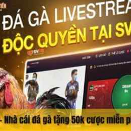sv88 đá gà trực tiếp