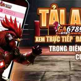 tải app đá gà thomo