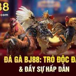 tai bj88 đá gà