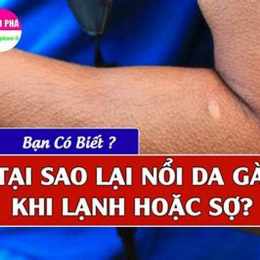 tại sao lại nổi da gà