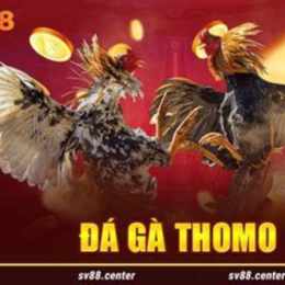 tải trang đá gà alo789