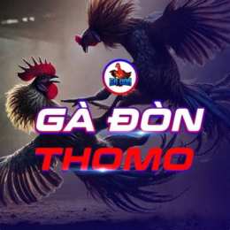 thomo gà đá