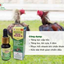 thuốc cựa gà đá