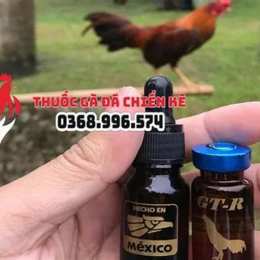 thuốc gà đá cao cấp mexico chiến kê